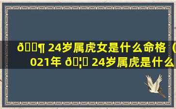 🐶 24岁属虎女是什么命格（2021年 🦋 24岁属虎是什么命）